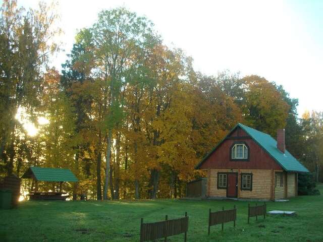 Дома для отпуска Holiday Home Dālderi Бирини-37