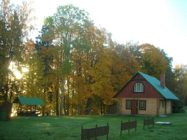 Дома для отпуска Holiday Home Dālderi Бирини-9